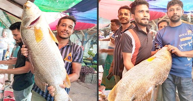 পায়রা নদীর দুই কোরাল ১৮ হাজারে বিক্রি