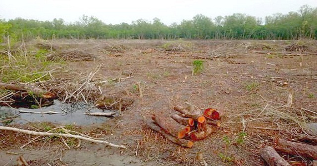  দখলে থাকা উন্মুক্ত খাস জলাশয় উদ্ধার করা হবে : আমু