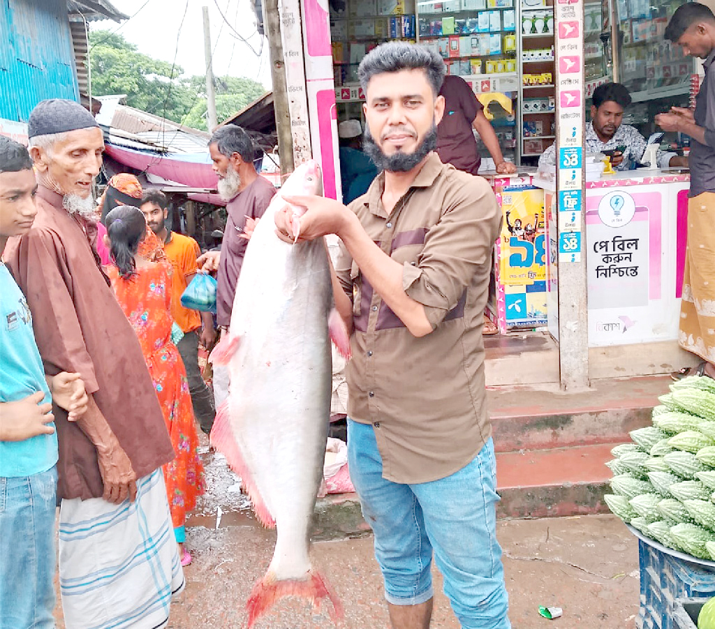 পায়রা নদীতে বড়শিতে উঠল ১১ কেজির পাঙাশ