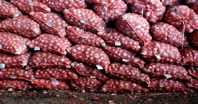 পেঁয়াজ রপ্তানিতে নিষেধাজ্ঞা তুলে নিল ভারত