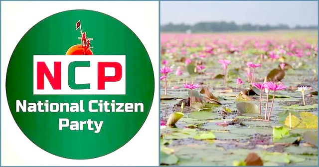 ‘শাপলা কলি’ নয় ‘শাপলা’ চায় এনসিপি