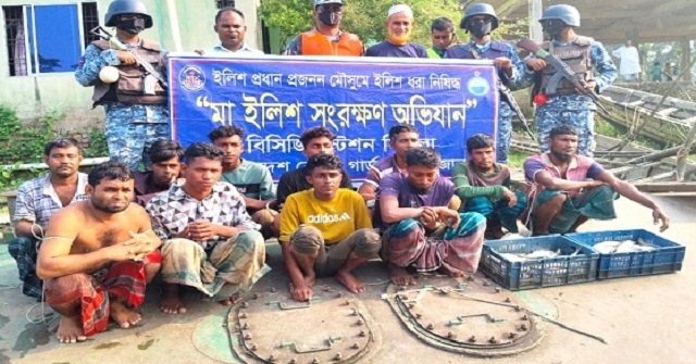 নিষিদ্ধ সময়ে ইলিশ ধরায় হিজলায় ১১ জেলে আটক