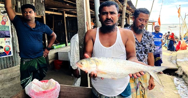 ৬২০০ হাজার টাকায় বিক্রি হলো রাজা ইলিশ 