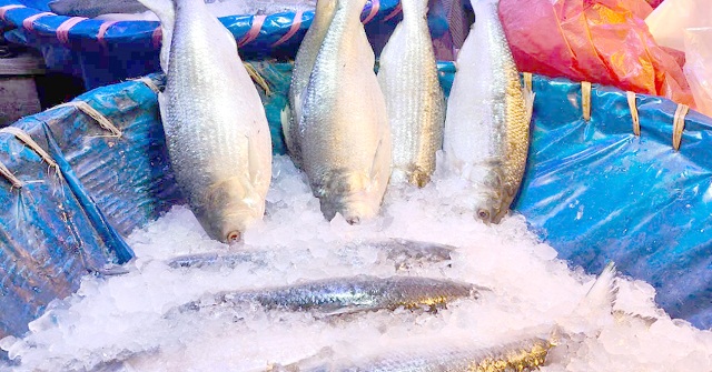 মাছের বাজারে বৈশাখের আমেজ, ‍ইলিশের কেজিতে বেড়েছে ৪০০ টাকা 