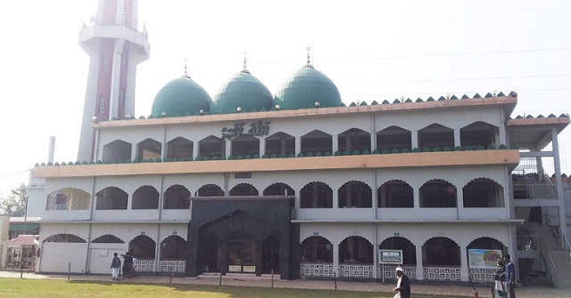 মির্জাগঞ্জের মাঠ জুড়ে যেন সূর্যমুখীর হাসি