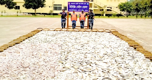 ভোলায় দুটি নৌকাসহ সাড়ে ৫ হাজার কেজি অবৈধ মাছ জব্দ