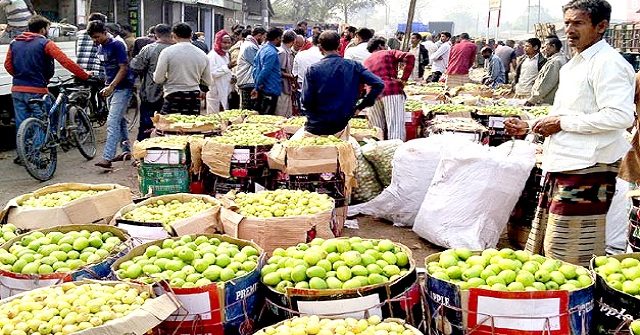 কুলের চাহিদা বাড়ায় দাম বেড়েছে ৩ গুণ
