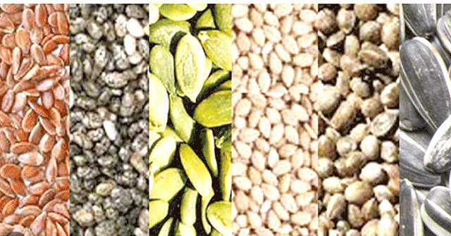 শরীরের জন্য উপকারী যেসব বীজ