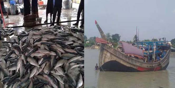 এক ট্রলার ইলিশ ১৬ লাখ টাকায় বিক্রি 