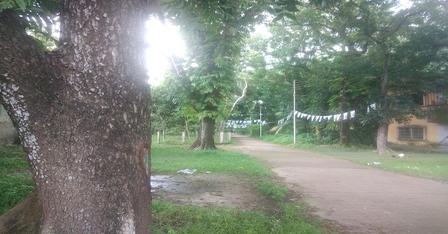 অকারণে শতবর্ষী ১২৯টি গাছ কাটার চূড়ান্ত বন্দোবস্ত করছে পাউবো 