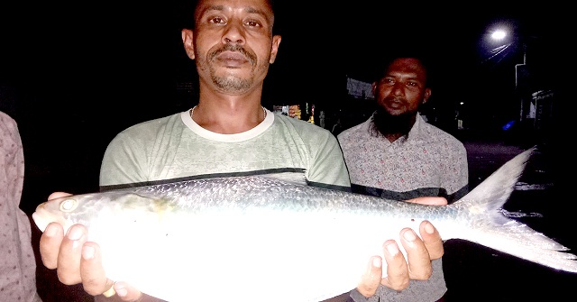 এক ইলিশের দাম ৫ হাজার টাকা!
