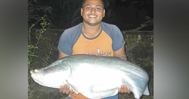  পুকুরে ধরা পড়ল ১১ কেজির চিতল