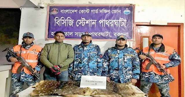 পাথরঘাটায় হরিণের চামড়া উদ্ধার