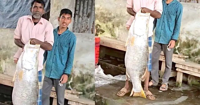 মোহনায় ভেসে এলো ২২ কেজির কোরাল, ১৯ হাজারে বিক্রি