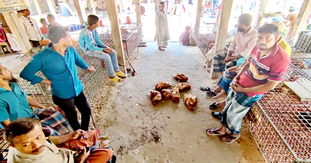 পাথরঘাটায় ৩ দিন মুরগি বিক্রি বন্ধ