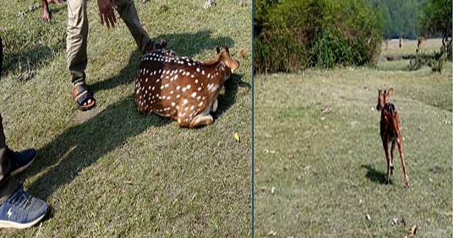 আমতলীতে ১৪০০ গভীর নলকূপ অকেজো, খাওয়ার পানির সংকট
