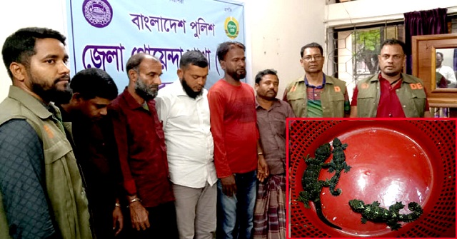 বরগুনায় তক্ষক পাচারকালে পাঁচ যুবক আটক 