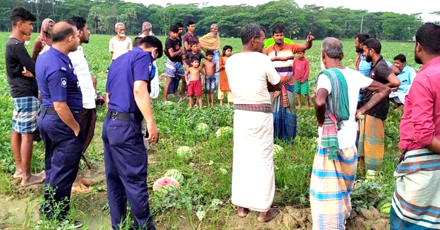 ভোলায় কৃষকের ৮০০ তরমুজে দুর্বৃত্তের ছুরি