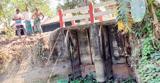 তালেবানবিরোধী বিক্ষোভে আবার গুলি, প্রাণহানি