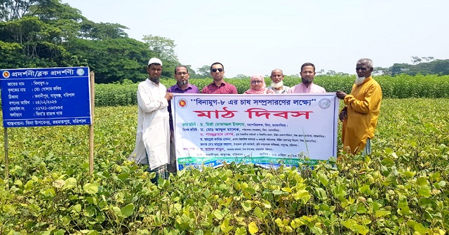 বাবুগঞ্জে বিনা উদ্ভাবিত মুগডালের বাম্পার ফলন 