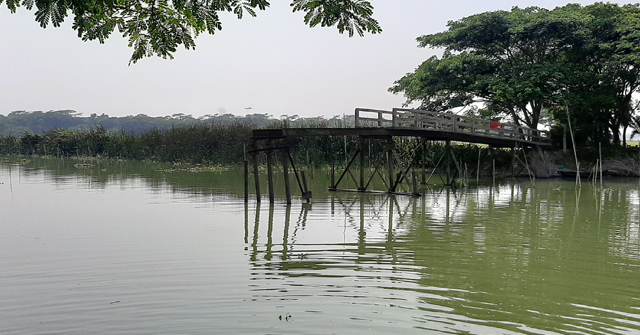১০ রানে ৪ উইকেট হারাল নিউজিল্যান্ড