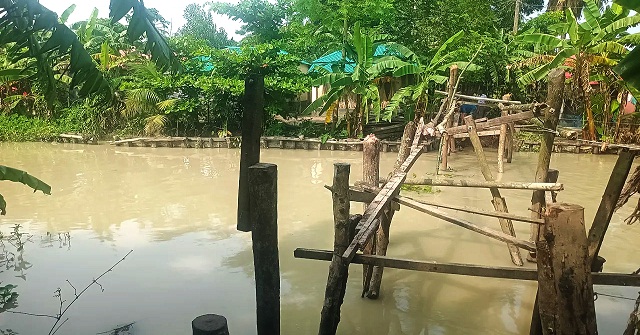 বরিশালে ভেঙে গেছে সাঁকো, কলাগাছের ভেলাই ভরসা ৩২ পরিবারের