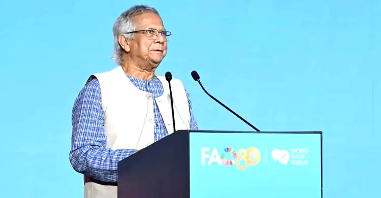 ১৭ কোটি মানুষকে খাওয়াই, আশ্রয় দিচ্ছি ১৩ লাখ রোহিঙ্গাকে