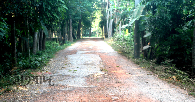বরিশালে আগামী দুদিন ভারী বৃষ্টিপাতের সম্ভাবনা