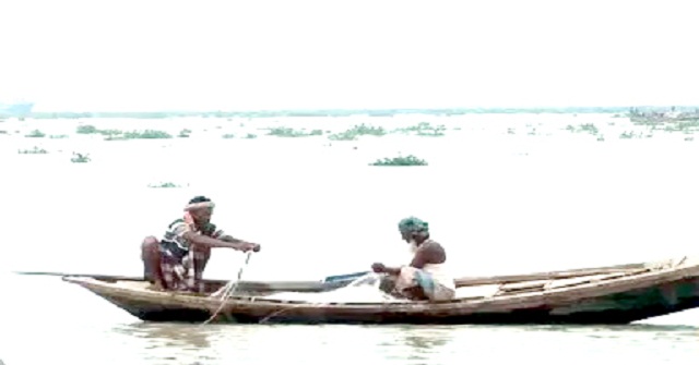 ভোলার মেঘনা ও তেঁতুলিয়া নদীতে মিলছে না ইলিশ, বিপাকে ৩ লাখ জেলে