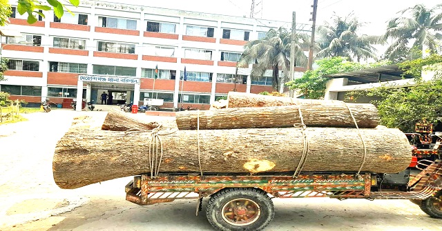 মেহেন্দিগঞ্জে খাজনার টাকা না দেয়ায় গাছসহ গাড়ি আটক