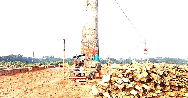বরিশালে কাঠ পুড়িয়েই চলছে অবৈধ সব ইটভাটা,  হুমকির মুখে পরিবেশ
