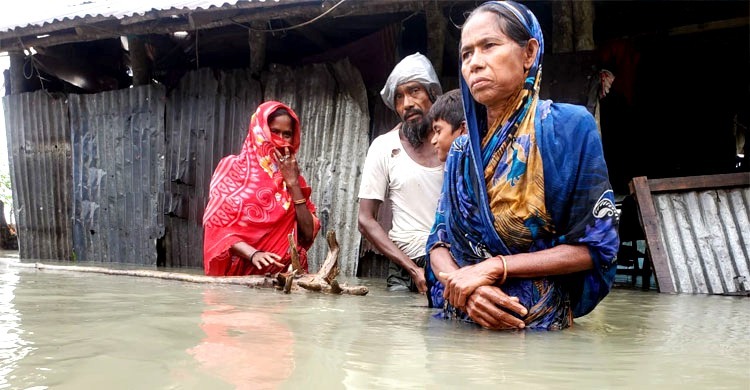  ভোলায় প্লা‌বিত বসতঘর, ভেসে গেছে গবা‌দিপশু
