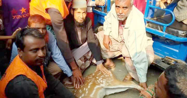 ঝালকাঠিতে শিক্ষাপ্রতিষ্ঠান খুলে দেওয়ার দাবিতে মানববন্ধন