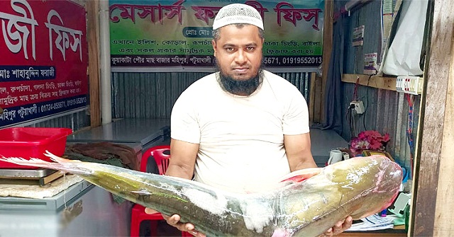 ইলিশের জালে ১৬ কেজির পাঙাশ, ২০ হাজারে বিক্রি