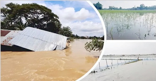  বন্যায় সবচেয়ে ক্ষতিগ্রস্ত বরিশালের ৫ জেলাসহ ৪৩ জেলা, ডুবেছে ১ লাখ ১৪ হাজার হেক্টরের ফসল