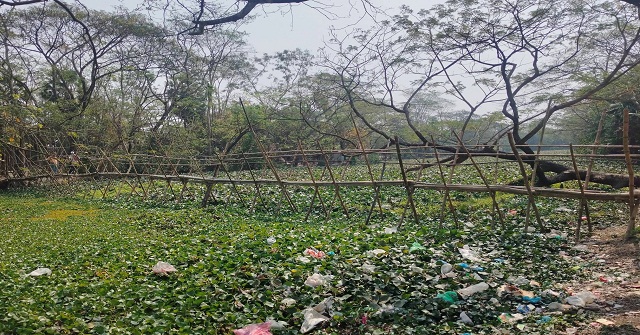 আমতলীতে স্বাধীনতার ৫৪ বছরেও হয়নি ব্রিজ নির্মাণ, ৫০ হাজার মানুষের ভরসা বাঁশের সাঁকো  
