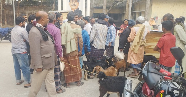বাবুগঞ্জে ছাগল বিতরণে অনিয়মের অভিযোগ