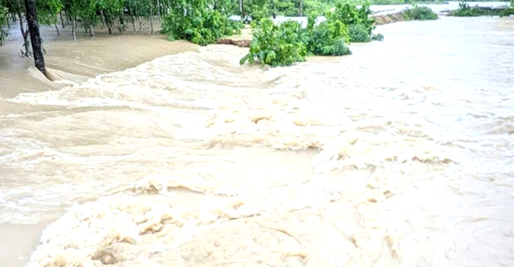 প্লাবিত হতে পারে ১২ জেলার নিম্নাঞ্চল