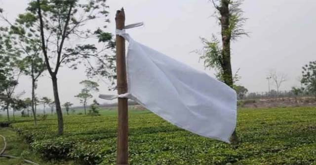 আলী দাইকে হটিয়ে ইতিহাসের নতুন পাতায় রোনালদো