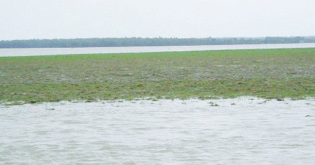 পানি মেপে মেপে চলে লঞ্চ