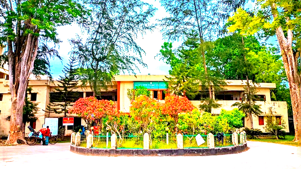 বরগুনায় ডেঙ্গু রোগের লক্ষণ নিয়ে শিশুর মৃত্যু