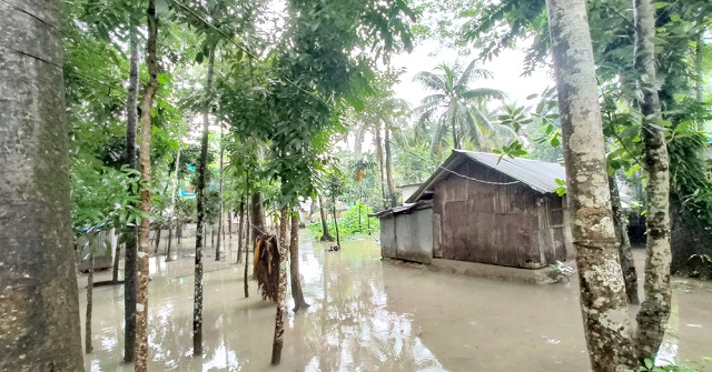 টানা বৃষ্টিতে বেতাগীতে জলাবদ্ধতা, পানিবন্দি হাজারো পরিবার