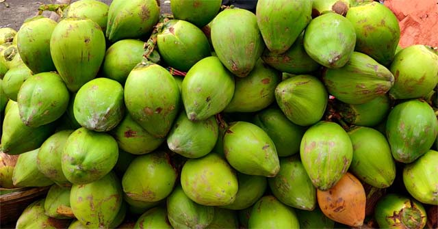  রাজাপুরে ডায়রিয়ার প্রকোপ, স্যালাইনের হাহাকার