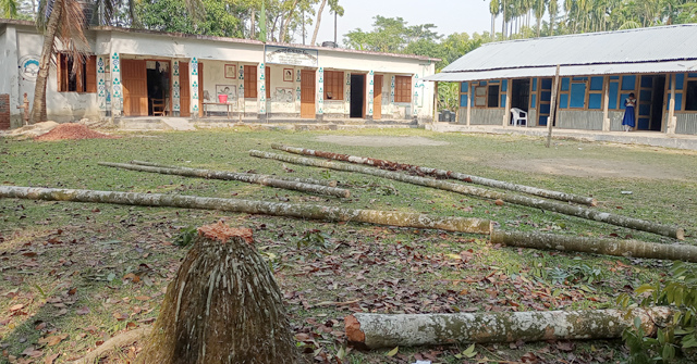 বিদ্যালয়ের গাছ বিক্রি করে বিপাকে প্রধান শিক্ষক 