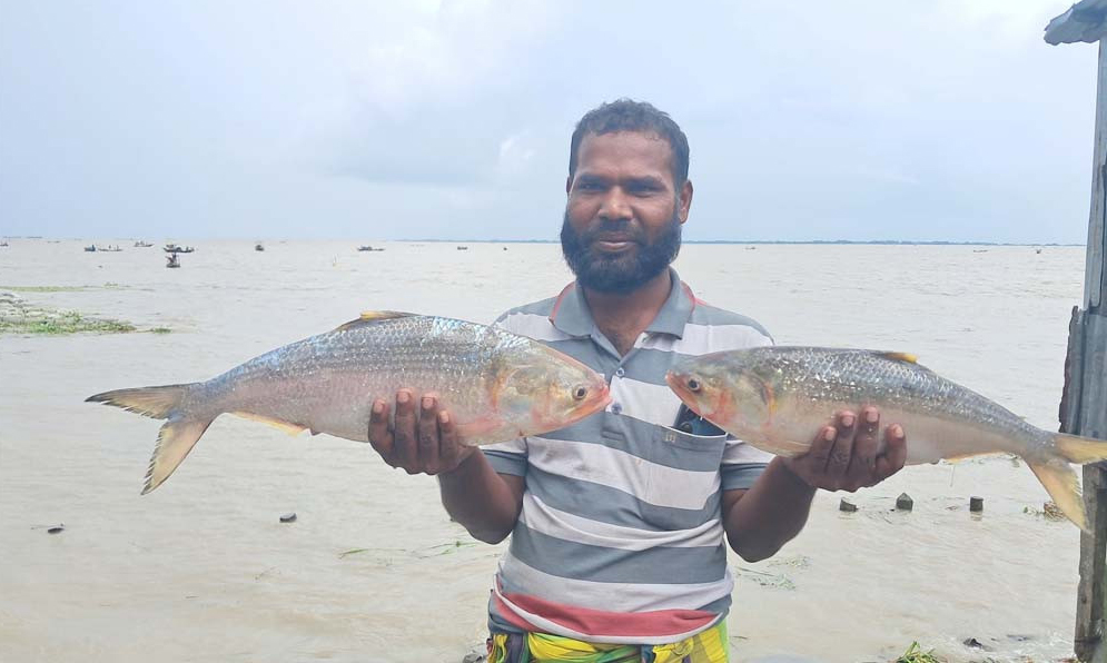 নিষেধাজ্ঞার আগে নদীতে ধরা পড়ল দুটি রাজা ইলিশ