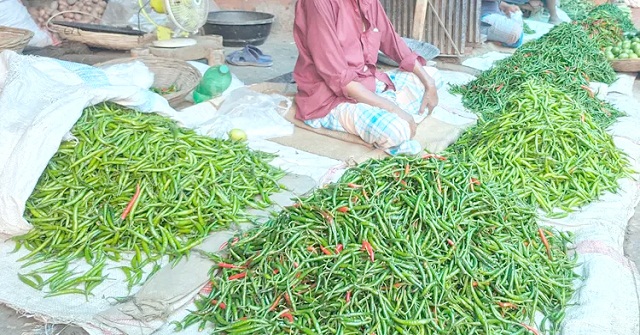 কাঁচামরিচের কেজি ২৫০ টাকা ছাড়ালো