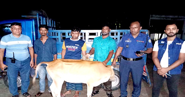 ঝালকাঠিতে গরু চোর চক্রের দুই সদস্য গ্রেপ্তার