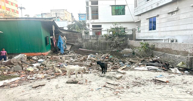 বরিশালে ব্যাংকের কাছে দায়বদ্ধ জমি দখলে নিতে জিলা স্কুল শিক্ষকের তাণ্ডব