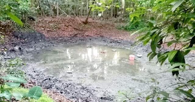 গাছের সঙ্গে ফাঁসিতে ঝুলিয়ে গরু হত্যা! 