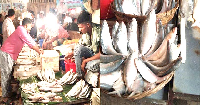 পাথরঘাটায় বিএফডিসি ঘাটেই বিক্রি দেড় কোটি টাকার মাছ 